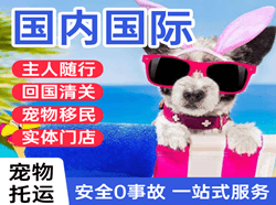 常德桃花源国际宠物托运 【国
